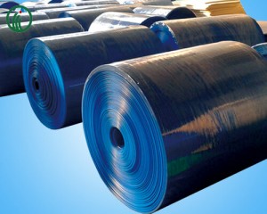 PP Corrugated Sheet Rolls