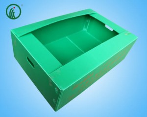 Corrugated Seed Seedling Box