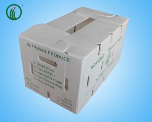 Plastic Corrugated Snow Pea Box