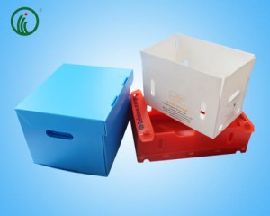 PP Corrugated Box