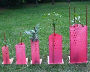 Corrugated Plastic Tree Shelter