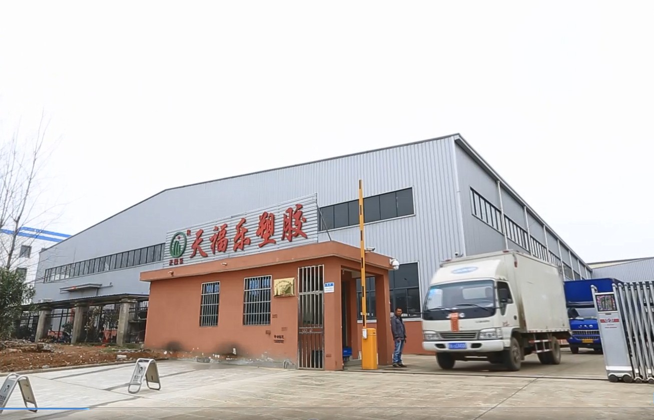 Qingdao Tianfule Plastic Co., Ltd. Hefei Branch